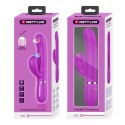 Wibrator Damski Wielofunkcyjny Króliczek - Twinkled Tenderness