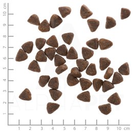 WOLFSBLUT Wild Duck Adult duck with potatos 12,5kg