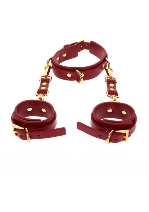 Kajdanki Na Ręce Z Obrożą D-Ring Collar And Wrist Cuffs Taboom