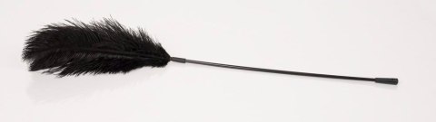 ORION Black feather Bad Kitty