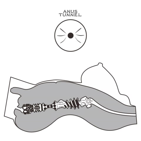 LoveToy - Boys of Toys Sp. z o.o. (dystrybutor) Streetgirl's #8