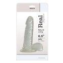 MSX Distribution S.r.l. Dildo-JELLY DILDO REAL RAPTURE CLEAR 6,5"