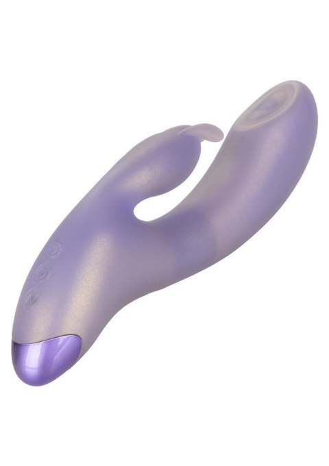 SCALA G-Love G-Bunny Purple