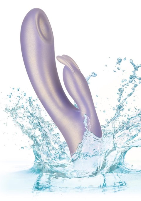 SCALA G-Love G-Bunny Purple