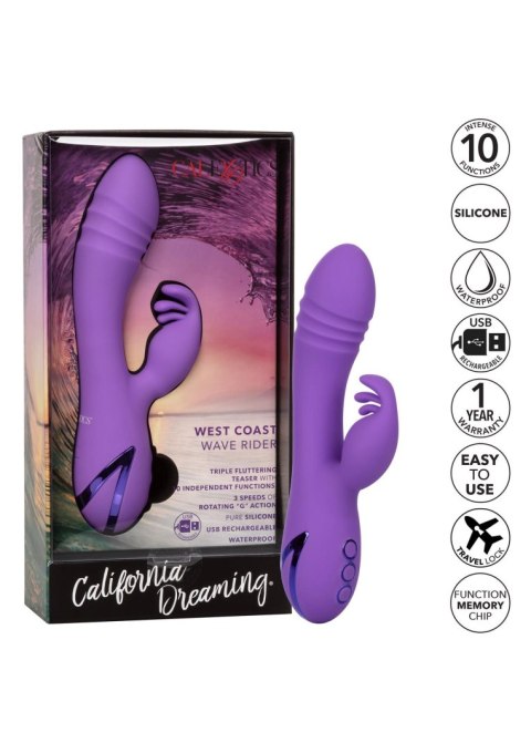 SCALA West Coast Wave Rider Purple