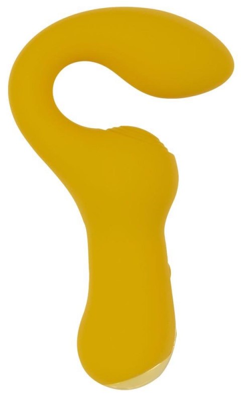 ORION Your New Favorite Special Vibr