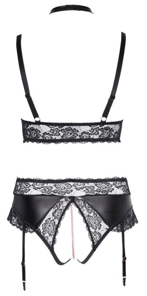 ORION Bra and Suspender Briefs XL