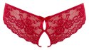 ORION Lace Briefs Crotchless L