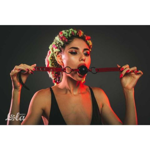 Intimate Distribution Ball Gag Party Hard Love Bite