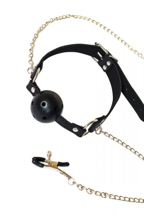 Intimate Distribution Ball Gag with nipple clamps Party Hard Gratitude