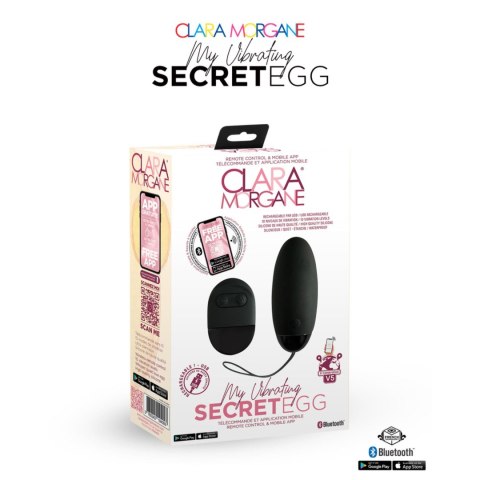 Intimate Distribution My Vibrating Secret EGG Black - App controlled