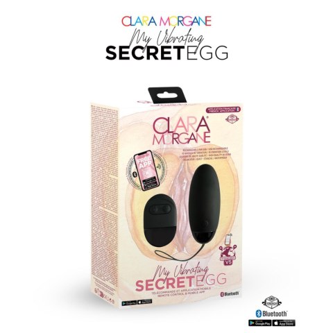 Intimate Distribution My Vibrating Secret EGG Black - App controlled
