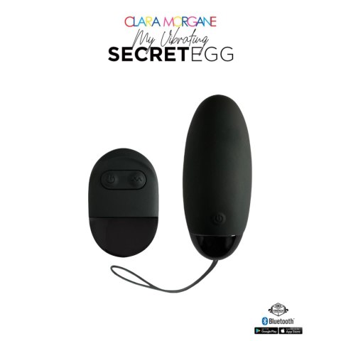 Intimate Distribution My Vibrating Secret EGG Black - App controlled