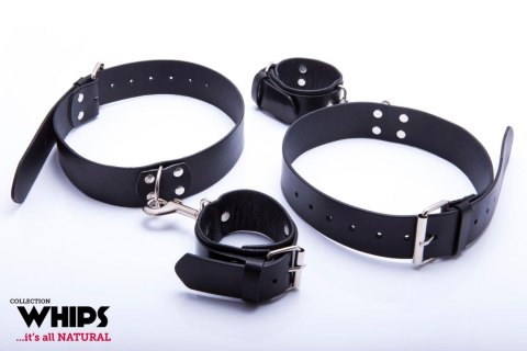 WHIPS - PPH GRAS Kajdanki - WHIPS Kajdanki na uda męskie