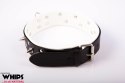 WHIPS - PPH GRAS Wiązania - Obroża męska ze smyczą, biała