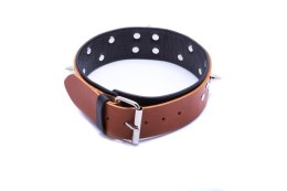 WHIPS - PPH GRAS Wiązania-WHIPS obroża męska ze smyczą, koniakowa