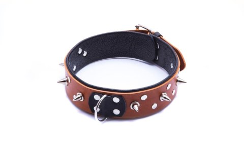 WHIPS - PPH GRAS Wiązania-WHIPS obroża męska ze smyczą, koniakowa