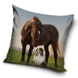 Poszewka mikrofibra 40x40 Koń i pies