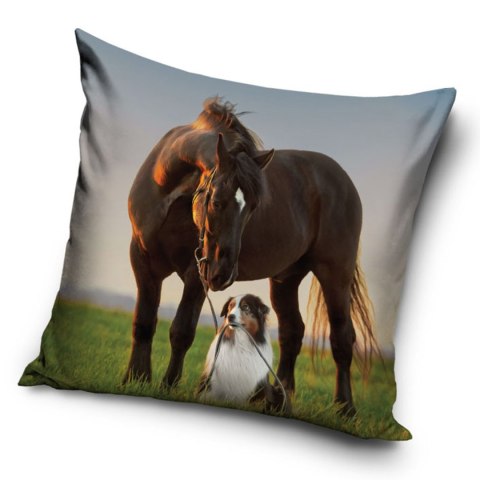 Poszewka mikrofibra 40x40 Koń i pies
