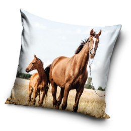 Poszewka mikrofibra 40x40 dwustronna Konik i źrebak