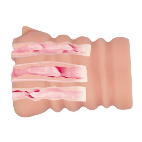 Baile - Boys of Toys Sp. z. o.o. (dystrybutor) BAILE -PASSION LADY Experience three tunnels at onece