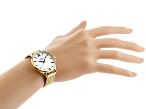 Pacific ZEGAREK DAMSKI PACIFIC X6172 - komplet prezentowy (zy665a)