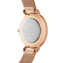 Daniel Wellington ZEGAREK DAMSKI DANIEL WELLINGTON DW00100305 - PETITE MELROSE 36mm (zw509b)