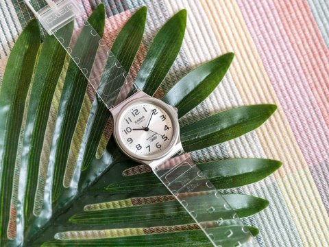 Casio Zegarek Damski Casio MQ-24S-7BEF + BOX (zd629h)