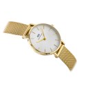 Daniel Wellington ZEGAREK DAMSKI DANIEL WELLINGTON DW00100346 - Petite Evergold 36mm