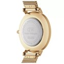 Daniel Wellington ZEGAREK DAMSKI DANIEL WELLINGTON DW00100346 - Petite Evergold 36mm