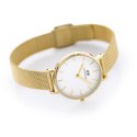 Daniel Wellington ZEGAREK DAMSKI DANIEL WELLINGTON DW00100346 - Petite Evergold 36mm