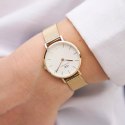 Daniel Wellington ZEGAREK DAMSKI DANIEL WELLINGTON DW00100346 - Petite Evergold 36mm