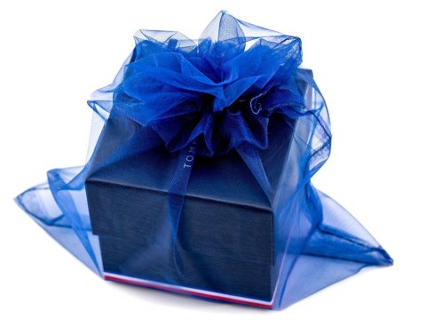 Tommy Hilfiger ZEGAREK MĘSKI TOMMY HILFIGER Logan 1792012 (zf106b)