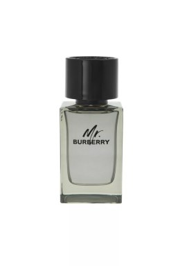 Burberry Mr. Burberry Edt 100ml