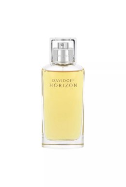 Davidoff Horizon Edt 125ml