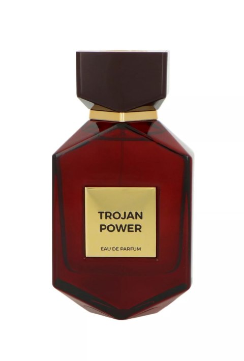 Camara Trojan Power Edp 100ml
