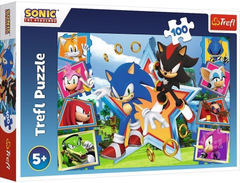 Trefl Trefl: Puzzle 100el. - Sonic