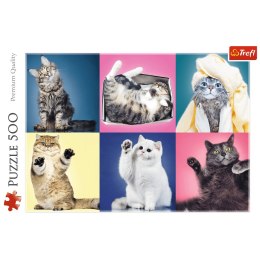 Trefl Trefl: Puzzle 500el. - Kociaki