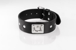 Obroża z ćwiekami czarna L Primal Bond Whips