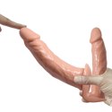 Baile - Boys of Toys Sp. z. o.o. (dystrybutor) BAILE -STRAP ON DOUBLE DILDOS, 7.1''+5.9''