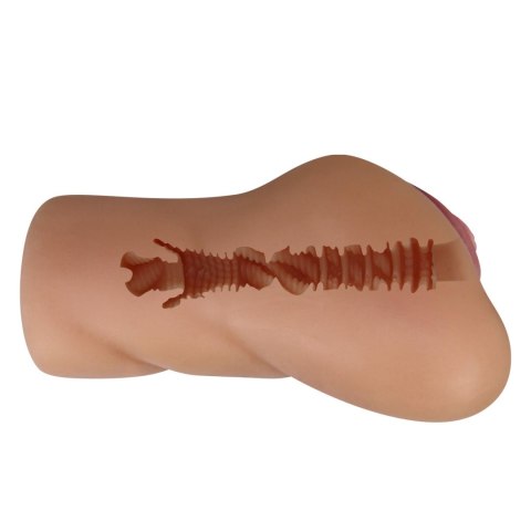 Baile - Boys of Toys Sp. z. o.o. (dystrybutor) CRAZY BULL - Eliana, TPR