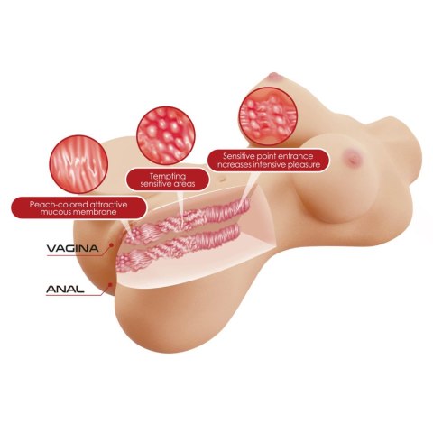 Baile - Boys of Toys Sp. z. o.o. (dystrybutor) Crazy Bull Hetty Vagina & Anal Masturbator