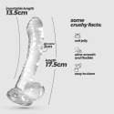 Crushious - Lunyvan S.L. CRUSHIOUS HUDINI JELLY ANAL DILDO CLEAR