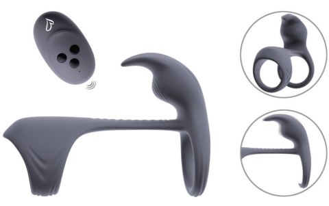 ORION Beau coeur Vylor RC