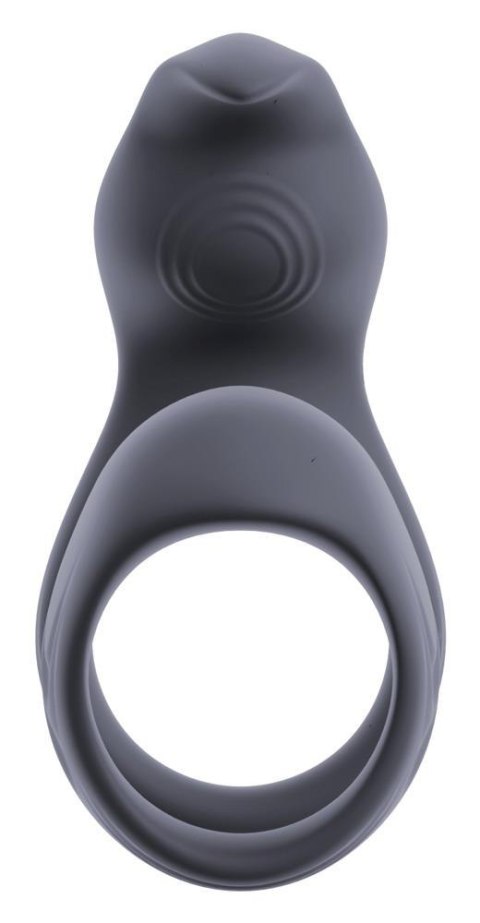 ORION Beau coeur Vylor RC