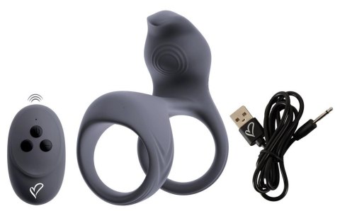 ORION Beau coeur Vylor RC