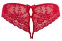 ORION Lace Briefs Crotchless XL