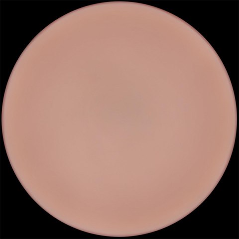 LoveToy - Boys of Toys Sp. z o.o. (dystrybutor) 9'' Sliding Skin Pro II Dual Layer Silicone Dong