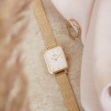 Daniel Wellington ZEGAREK DAMSKI DANIEL WELLINGTON Quadro Pressed Evergold 20mm DW00100556 + BOX (zw520a)