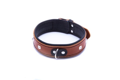 WHIPS - PPH GRAS Wiązania-WHIPS obroża damska bez smyczy, koniakowa